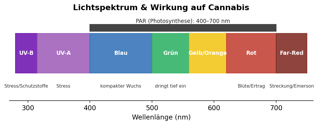 Infografik — Lichtspektrum