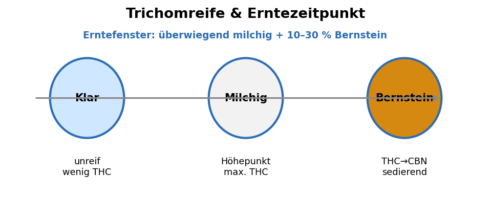 Infografik — Trichomreife
