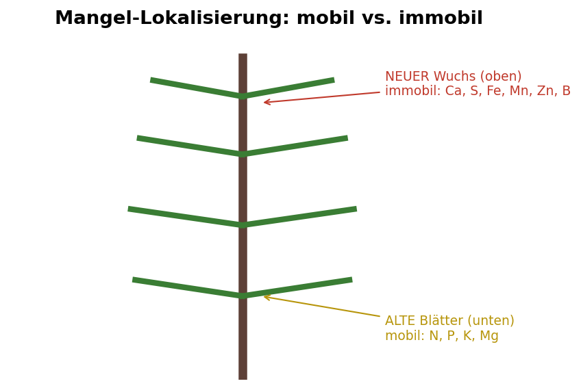 Infografik — mobil/immobil